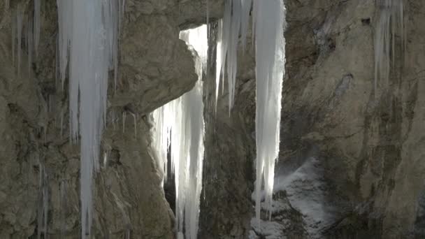 Mostnica Vadisi Ndeki Donmuş Bir Şelalenin Buz Saçaklarından Damlıyor Serbest — Stok video