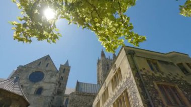 Güneşli bir yaz gününde yeşil ağaç tepesinin altından eski bir katedralin güzel dış yüzeyi. Görkemli Canterbury Katedrali Romanesk ve Gotik mimari tarzların bir karışımı..