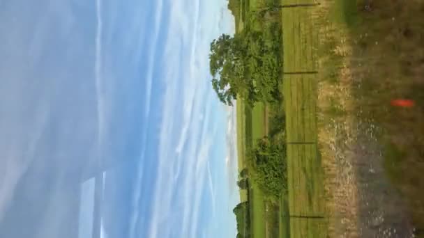 Pov Vertical Travelling Train Beautiful Green English Countryside Look Out — Stock Video