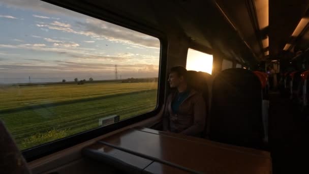 レディーは窓のそばに座り 朝の光の中で田舎を認めている 若い観光客の女性は変化する風景の美しい景色を楽しむために現代急行列車でスコットランドを渡ります — ストック動画