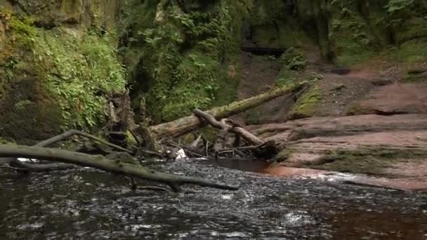 강바닥에 흐르는 녹지와 강으로 가파른 스코틀랜드의 뛰어난 사이의 경로를 아름다운 — 비디오