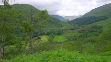 Jakobit buharlı treni İskoçya 'daki Glenfinnan Viyadük' ünden geçiyor. Eski lokomotif, yeşil vadileri ve pitoresk dağları olan cennet manzarası boyunca arabaları manzaralı bir yolculuğa çıkarıyor..