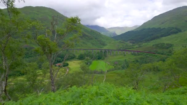 雅各特蒸汽机车穿越苏格兰高地的格兰芬南高架铁路 老旧的火车头拉着货车在田园风光中穿行 带着青翠的山谷和风景如画的群山 — 图库视频影像