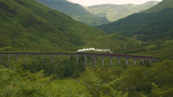 ジャコバイトの蒸気列車によって交差する緑の谷の上に絵画の石のバイアス スコットランド高原の緑の谷や山々を散策する鉄道の旅の古い機関車 — ストック動画