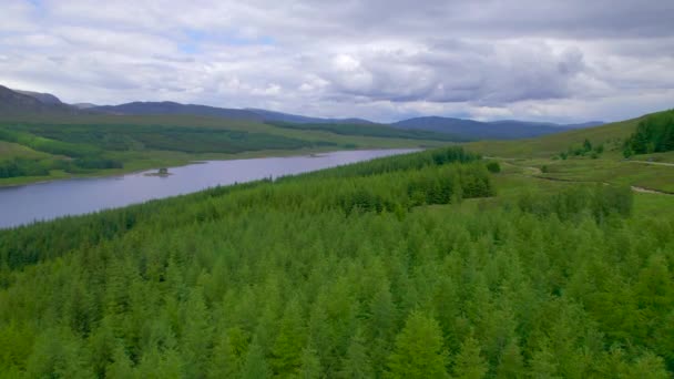 エリアル スプルースの森と牧草地のパッチ 広いモリストン川に沿って美しい渓谷を通って牧草 曇った夏の日にスコットランドの高原の美しい緑の山の風景 — ストック動画