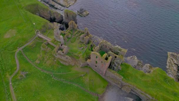 エレガントなトップダウン 古代の城の遺跡の美しく目に見えるフロアプラン 美しいスコットランドの海岸の草の崖の上にシンクレア ジルニエ城の壮大な遺跡の上を飛ぶシーガル — ストック動画