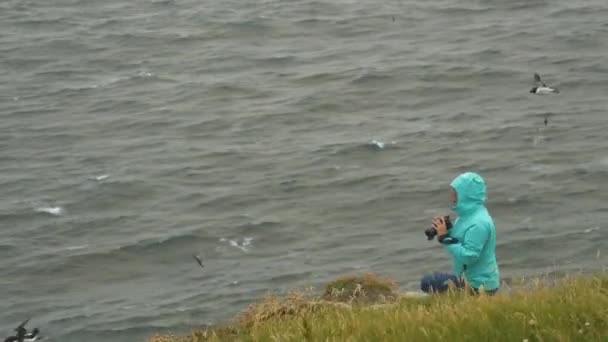 女摄影师试图拍摄在大风中飞行的松饼的照片 美丽的海鸟在长满青草的悬崖顶上盘旋 年轻的女士正在那里拍照 苏格兰的恶劣天气 — 图库视频影像