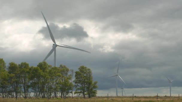 Trabalhando Turbinas Eólicas Balançando Copas Árvores Dia Ventoso Nas Terras — Vídeo de Stock