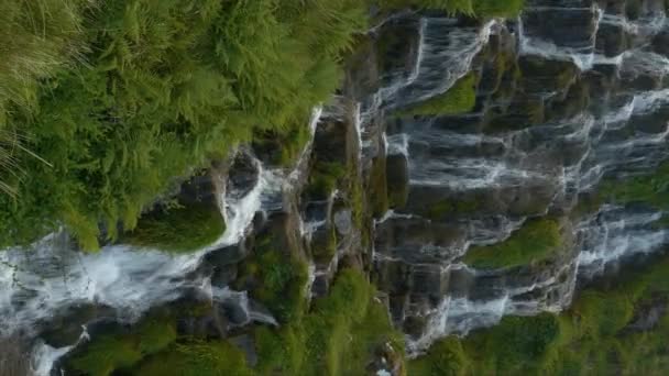 Verticaal Groene Varens Gras Omringen Waterval Cascading Naar Beneden Granieten — Stockvideo