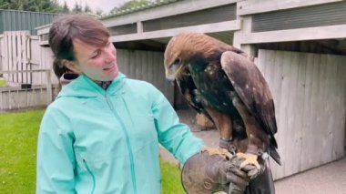 Falconry Center 'da görkemli altın kartalla karşılaşan dişi turist. İskoçya 'da seyahat eden genç bir kadın için vahşi bir yırtıcı kuşla şaşırtıcı ve unutulmaz bir eğitim deneyimi..