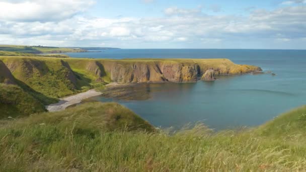 잔디로 사이에 위치한 구름이 스코틀랜드 동부의 아름다운 해안선 바람에 부드럽게 — 비디오