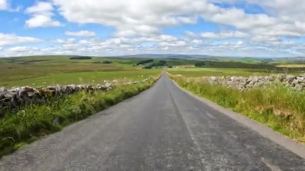 Pov Passando Por Inúmeras Ovelhas Pastando Amplos Prados Verdes Yorkshire — Vídeo de Stock