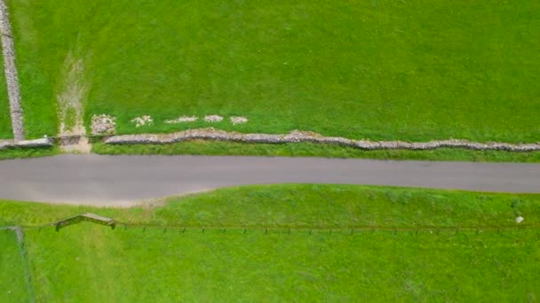 Aerial Top Одноколійний Заміський Шлях Веде Повз Яскраво Зелені Луки — стокове відео