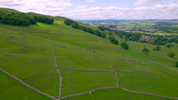 Aerial 石は村の上の丘の上の羊の群れを放牧する牧草地と急な巻線道路を登るトレーラーが付いている青いトラクターを囲みました ヨークシャー デイルズ国立公園の田園風景 — ストック動画