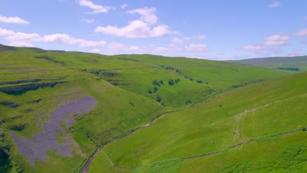 Aerial Narrow Valley Small River Flowing Vibrant Green Grassy Slopes — Stock Video