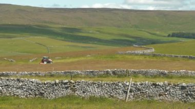 Taş bir duvarla çevrili otlayan hayvanlarla dolu geniş çayırlar ve yem olarak çim biçen traktör. Çiftçilik için modern makinelerin kullanımı. Yorkshire Dales Ulusal Parkı 'nın kırsalında güneşli bir gün.