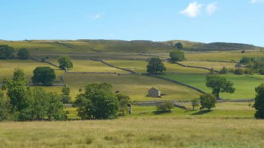 Yeşil yamaç, sığır ve koyunların otladığı taştan duvarlı otlaklara bölünmüş. Geniş çayırları olan tipik bir İngiliz kırsalı. Yorkshire Dales 'de otlayan hayvanlarla ıssız kırsal alan.