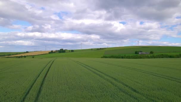 Aerial Riesige Grüne Weizenfelder Mit Traktorspuren Entlang Der Nordseeküste Schottland — Stockvideo