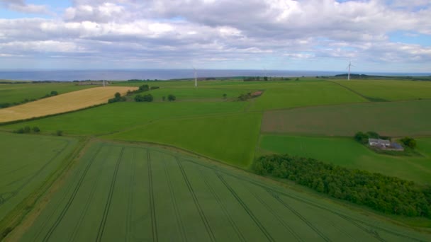 Aerial Krásné Pobřeží Severního Moře Pokryté Zelenými Pšeničnými Poli Větrnými — Stock video