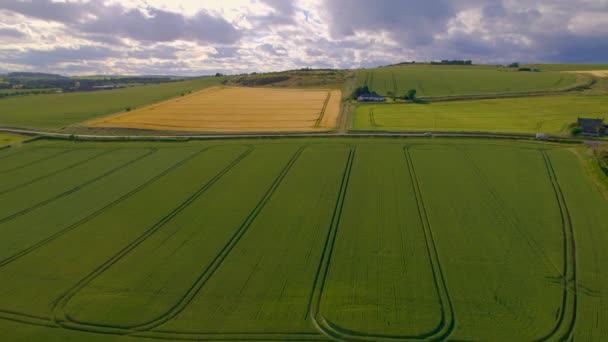 繁忙的沥青路经过绿小麦田 具有牵引履带模式 在阳光明媚的夏日 苏格兰沿海低地拥有大片农田的耕地的风景画 — 图库视频影像