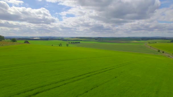 Aerial Weelderige Groene Velden Het Pittoreske Schotse Platteland Een Zonnige — Stockvideo