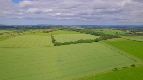 에어리얼 스코틀랜드의 무성한 필드와 초원의 아름답게 농지와 스코틀랜드 트랙터 트랙의 — 비디오