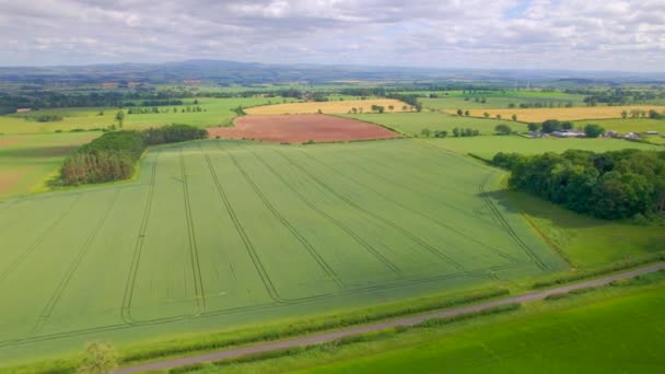 エリアル スコットランドの低地の美しい風景とカラフルな農場 茶色と緑のフィールドの自然な色合いが交互に変化する素晴らしいパッチワークパターン スコットランドの素敵な晴れた夏の日 — ストック動画