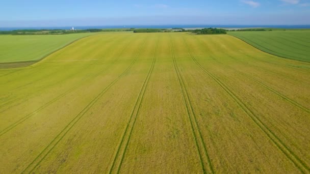 Aerial Kolorowe Krajobrazy Zielonymi Żółtymi Polami Wzdłuż Angielskiego Wybrzeża Słoneczny — Wideo stockowe
