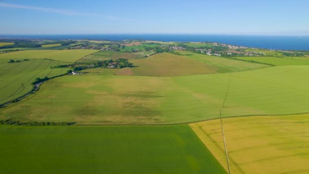 エリアル 明確な青空の下の農業分野のイディラック海辺の村 イギリスの海岸沿いの農地の黄色と緑のパッチの美しいパターンを持つ絵の田舎 — ストック動画