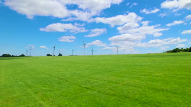 成群的羊在靠近工作的风力发电站的绿色草地上和平地放牧 约克郡农村美丽多风的风景中旋转风力涡轮机发电 — 图库视频影像