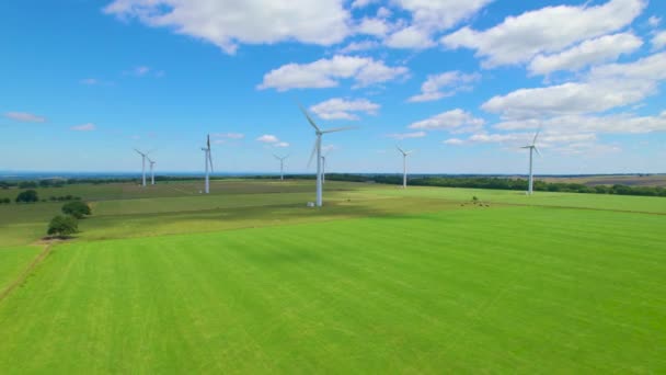 エリアル 回転する風力タービンは放牧する家畜と緑の牧草地の上に上昇します 風の力を活用して電気を生み出す風景と近代化されたイギリスの田園地帯の眺め — ストック動画