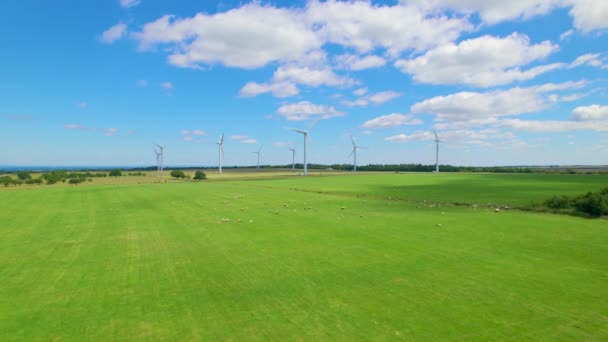 Aerial Stora Gröna Betesmarker Med Betande Djur Omger Vindkraftverket Över — Stockvideo