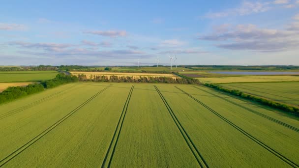 エリアル 風が強く晴れた夏の日に農場の真ん中に風車が付いている絵画の田園地帯 近代化されたイギリスの田舎 風力が電気を生産するために利用される場所 — ストック動画