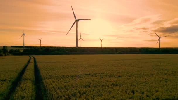 Aerial Silhouette 金色的日出 现代风车在田野上方升起 在五彩斑斓的晨空下旋转的高风涡轮机叶片 现代和可持续的发电方式 — 图库视频影像