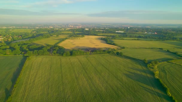 Scénická Krajina Okraji Canterbury Ranním Světle Obrovská Zelená Zemědělská Pole — Stock video