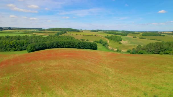 エリアル 赤く咲くポピーでいっぱいの牧草地を巻く絵画 南西イングランドの風光明媚な田園地帯で咲く赤い野生の花がいっぱいの美しい緑の花畑 — ストック動画