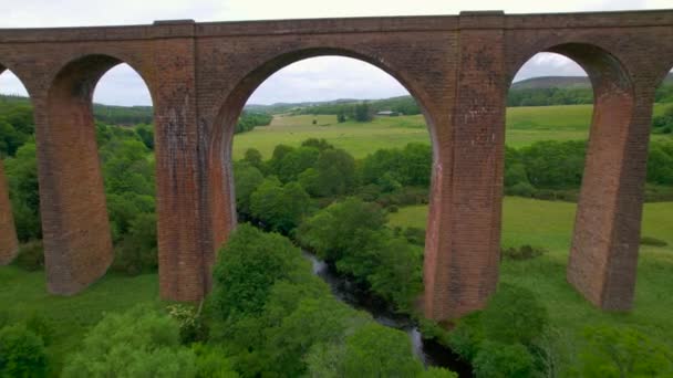 在奈尔河上方令人印象深刻的科洛登高架桥拱下 与放牧的牛一起飞往绿色的草地 多云天气下苏格兰高地的风景如画的砖石的铁路高架桥 — 图库视频影像