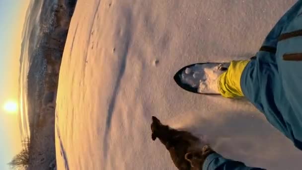ヴァーティカルプーブ 認識できないスノーボーダー乗馬パウダーは 晴れた朝に犬とスロープを彫っています スキー機器の未知の男 フリーライドスノーボード 彼の犬と一緒に新鮮な粉雪 — ストック動画