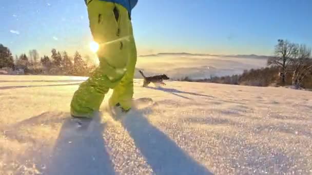 Vista Angolo Bassa Ragazzo Snowboarder Irriconoscibile Equitazione Polvere Cane Correre — Video Stock