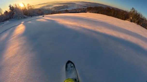Pov Nerozpoznatelný Snowboardista Jezdící Sněhu Pes Běžící Vedle Něj Zlatého — Stock video