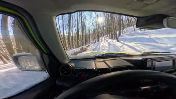 Pov Nierozpoznawalna Osoba Zjeżdżająca Drogi Przez Śnieżny Las Pięknej Białej — Wideo stockowe