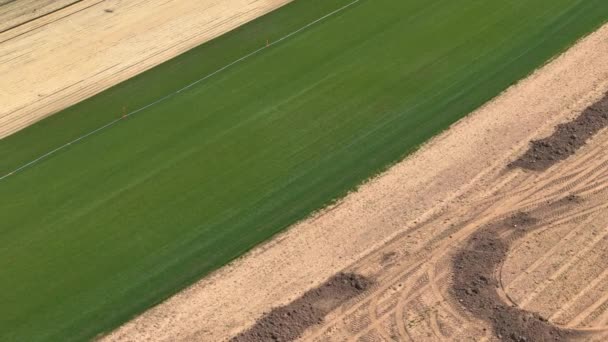 Aerial Flyger Ovanför Stor Fläck Frodigt Grönt Gräs Massiv Torvfarm — Stockvideo