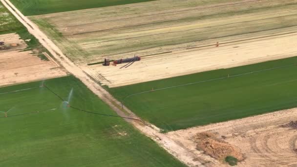 에어리얼 스프링클러는 농장에서 무성한 잔디를 급수하고 있습니다 토양의 비행과 시스템에 — 비디오
