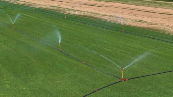多台洒水机在阳光明媚的夏日浇灌草皮 洒水者在大型工业农场喷洒淡水 以帮助播种 草场现代灌溉系统在发挥作用 — 图库视频影像
