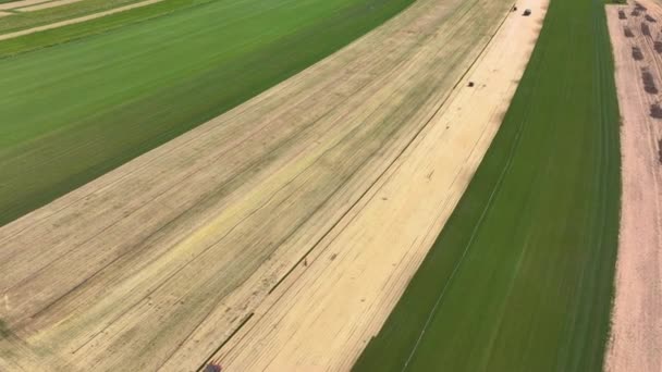 浇水系统沿着一条准备播种的土带运行 在一个草场 灌溉管和洒水机沿着一片未收获的草皮带运行 在一个巨大的草场上空飞行 — 图库视频影像