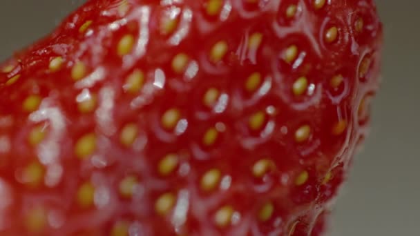 Macro Dof 一个成熟草莓纹理表面的高细节特写镜头 带有可见的种子和闪闪发光的红色皮肤 一个成熟的土生土长的草莓收获后的高清晰景象 — 图库视频影像