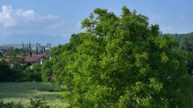 Büyüleyici Ljubljana şehir manzarasının panoramik drone görüntüsü manzaralı bir alp zeminine karşı. Çatıların üzerinde uçmak, Ljubljana şehir merkezine bakan kalenin nefes kesici manzarasını ortaya çıkarıyor..