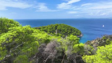 Muhteşem Hvar adasındaki uzak bir kumsalın insansız hava aracı görüntüsü. Yoğun bir çam ormanıyla çevrili kristal berraklığında turkuaz sularla çevrili tenha bir koydan nefes kesici bir manzara..