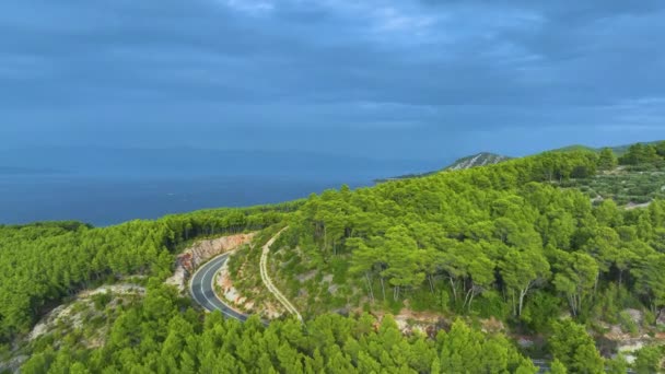 Aerial Oszałamiające Ujęcie Krętej Nadmorskiej Drogi Przecinającej Bujny Zielony Las — Wideo stockowe