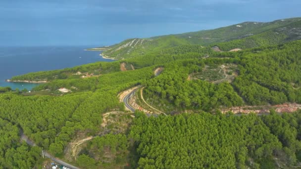 Aerial Latanie Nad Bujnym Zielonym Lasem Sosnowym Wyspy Hvar Słoneczny — Wideo stockowe